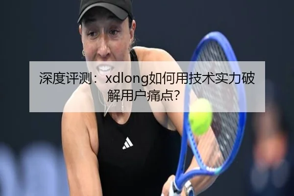 深度评测：xdlong如何用技术实力破解用户痛点？