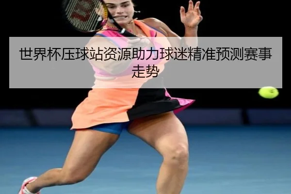 世界杯压球站资源助力球迷精准预测赛事走势