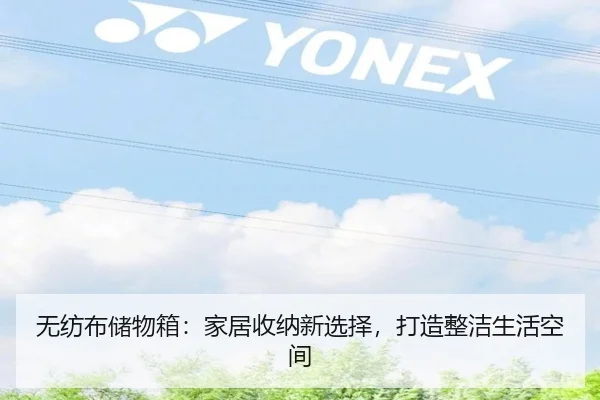 无纺布储物箱：家居收纳新选择，打造整洁生活空间